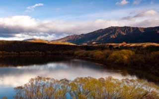 Cryptocurrency Market Analysis: Decoding the Momentum and Future Potential