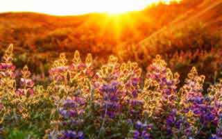 Netflix Stock: The Real Story Behind the Dip, the Split's Potential, and Its Brilliant Future